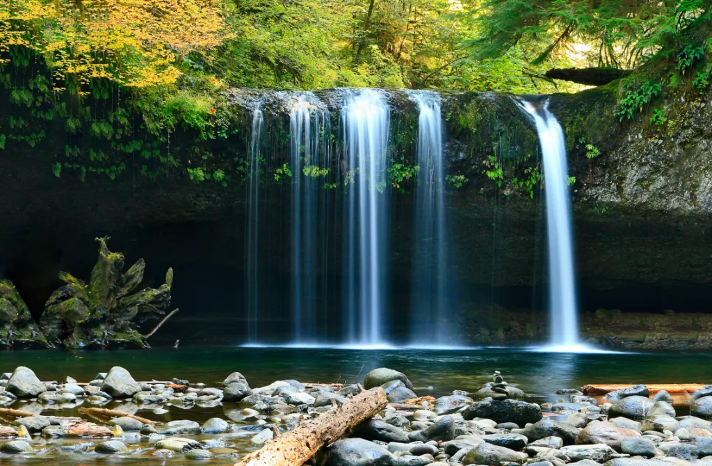 Serene waterfall cascading over moss-covered ledge into clear pool with rocks and driftwood, representing solo business ideas. Lush greenery in tranquil natural landscape ideal for inspiring entrepreneurial ventures and mindfulness. Creatorpoint – Creator Knowledge, Simplified. The best resources, podcast summaries, and learning for creators.